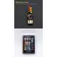 T4482 Лампа T10 RGB LED W5W с пультом управления AVL001