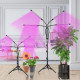 T5143 Огонек OG-LDP07 Фитолампа для растений штатив (40Вт)