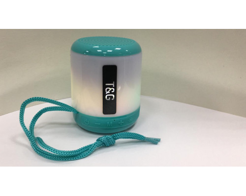 T2936 Колонка BLUETOOTH T&G156 #